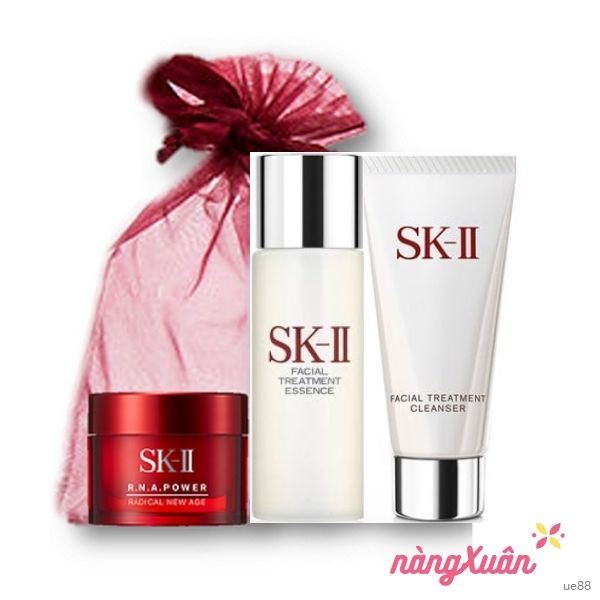 Set skii 3 món